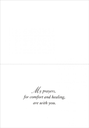 Comfort and Healing Get Well Card-GWPS01 extra