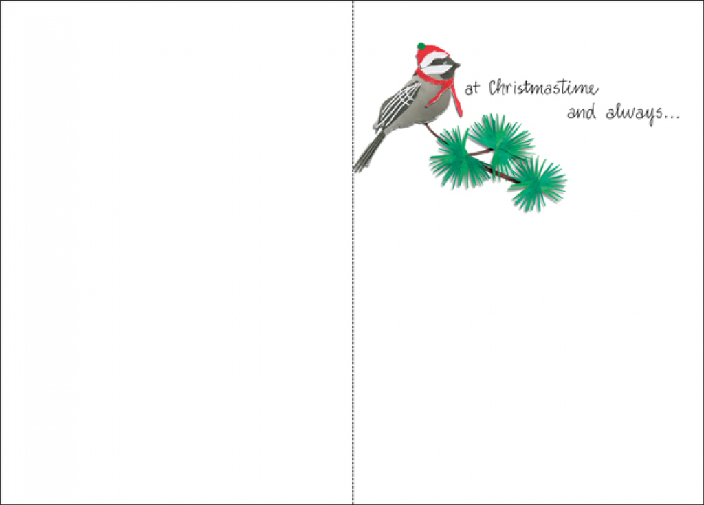 Birds Christmas Cards-C776 extra