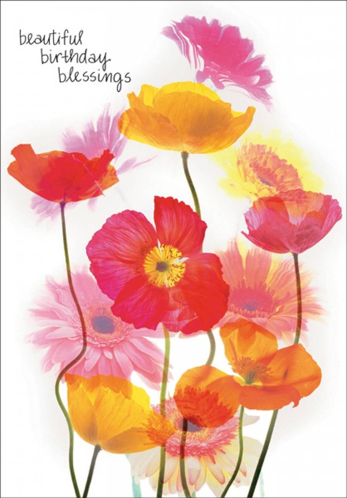 Beautiful Birthday Blessings Birthday Card extra