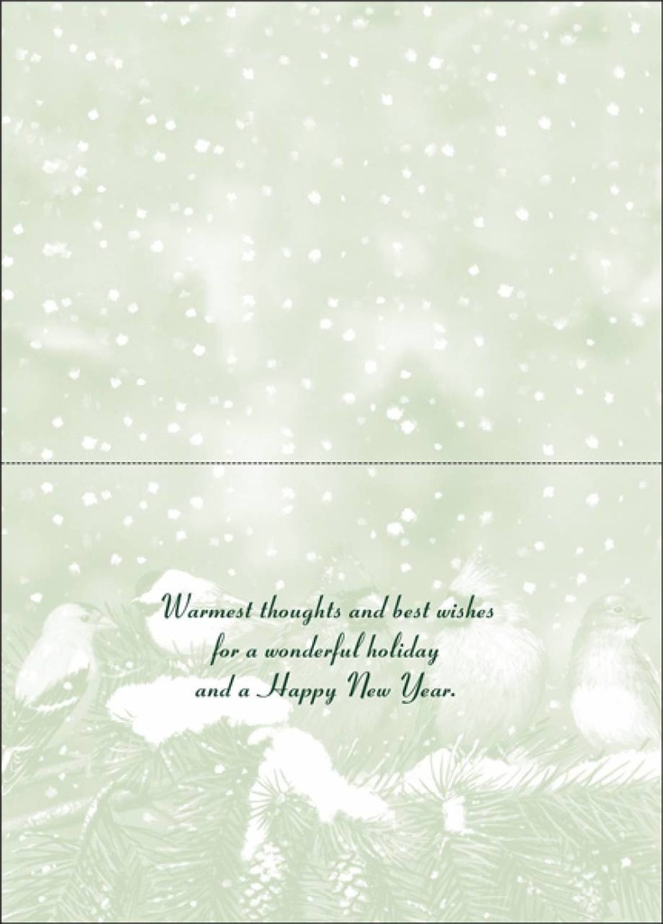 Bird Christmas Card-CU702 extra