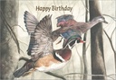 Duck Birthday Card extra