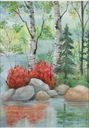 1-NEW-Nature-FG429 extra