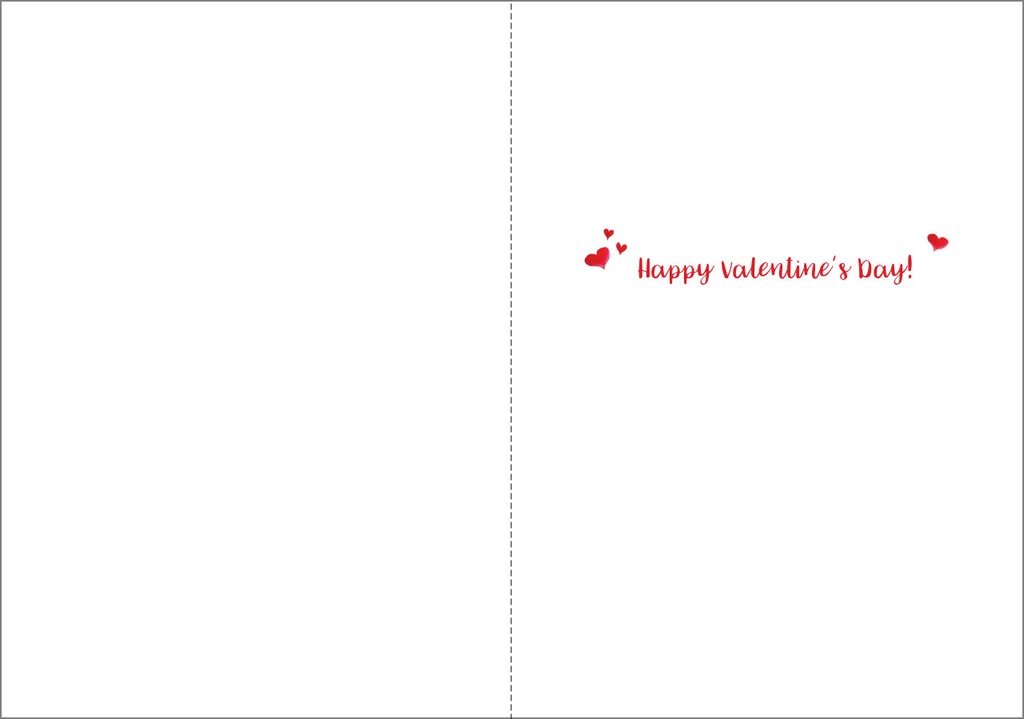 Birds Valentine's Day Card - VJ801 extra
