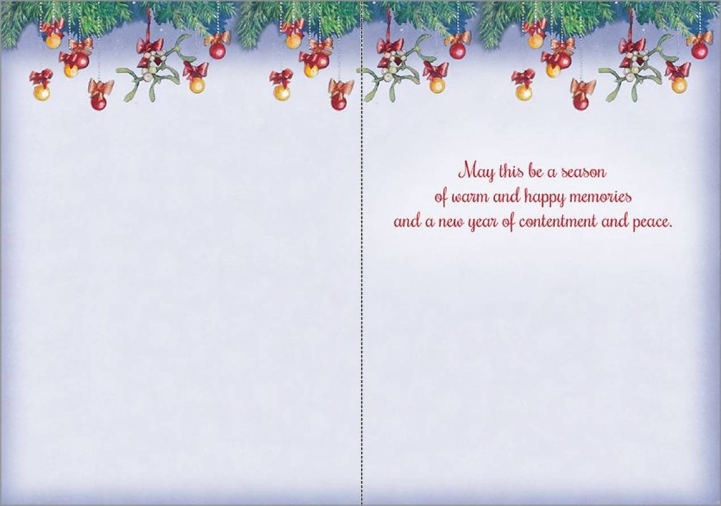 Kitty and Puppy Christmas, Box of Cards extra
