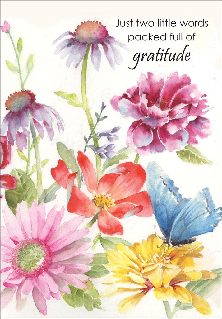 Gratitude in Full Color extra