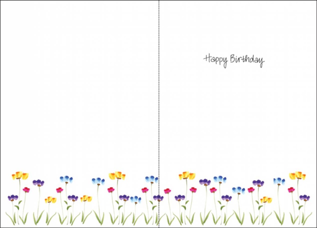 Special Friend Birthday Card extra