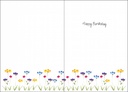 Special Friend Birthday Card extra