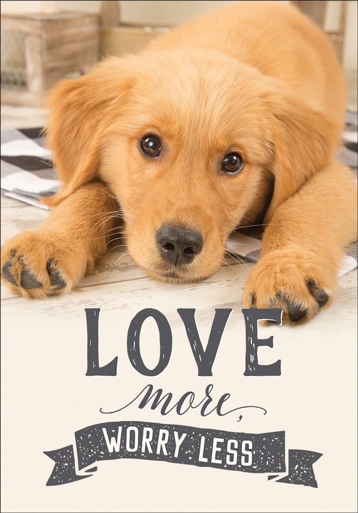 Puppy Friendship Card extra