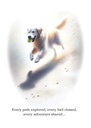 S244680 - The Adventure Companion - Heartwarming Pet Sympathy Card extra