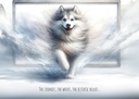 S244683 - The Joy Bringer - Loss of Pet Sympathy Card extra