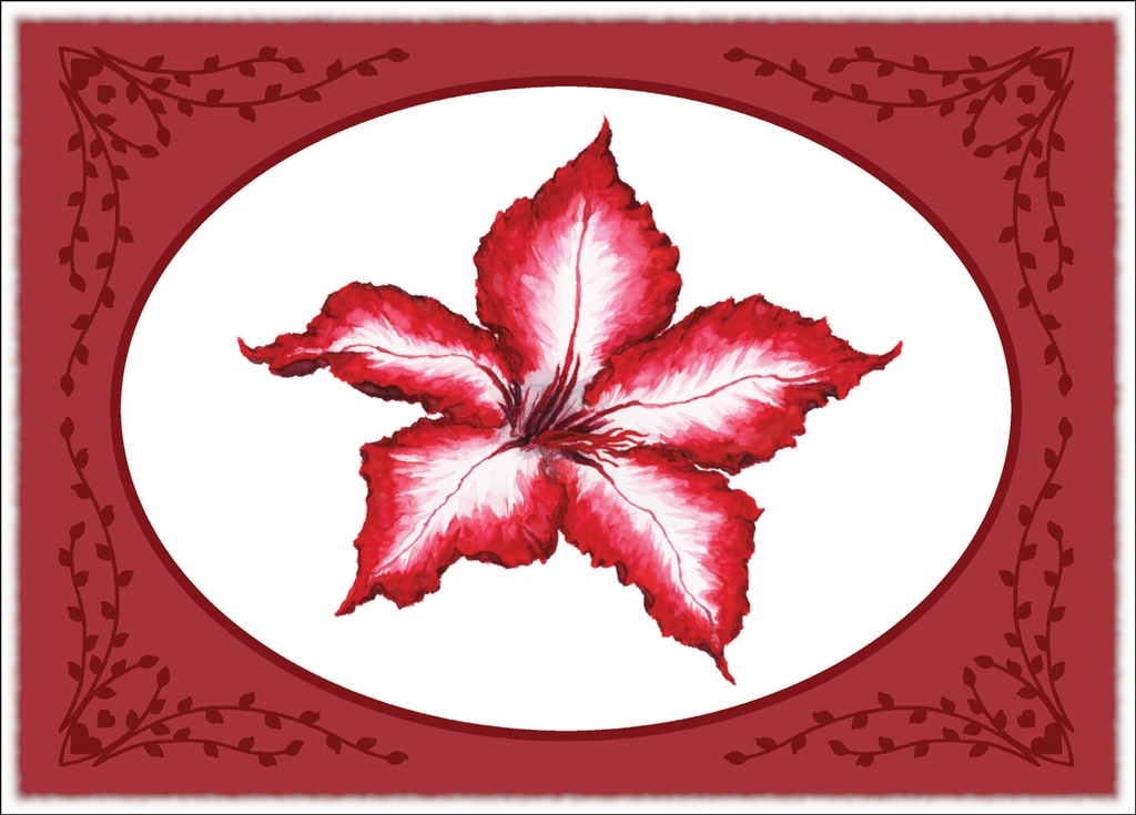 CB707C - Christmas with Scripture extra