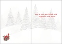 C3711V - Volunteer Christmas extra