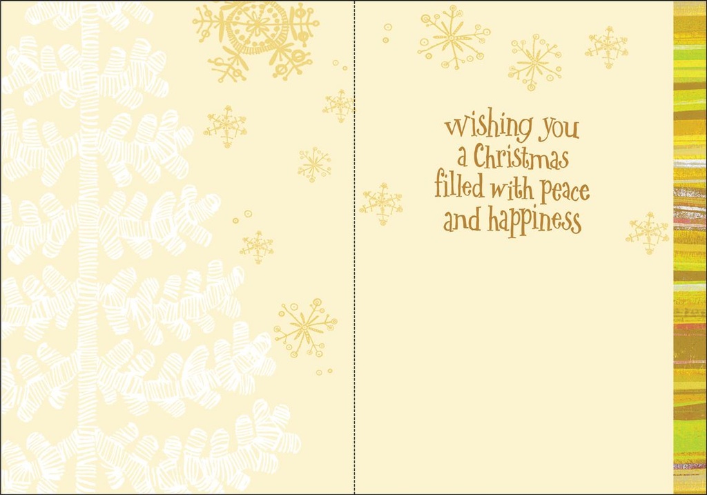 CR702V - Volunteer Christmas extra