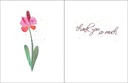 T23 - Value Thank You Cards extra