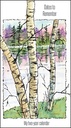 GPP281 - 2-Year Pocket Calendar