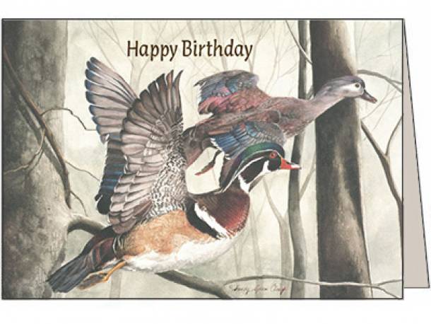 Duck Birthday Card