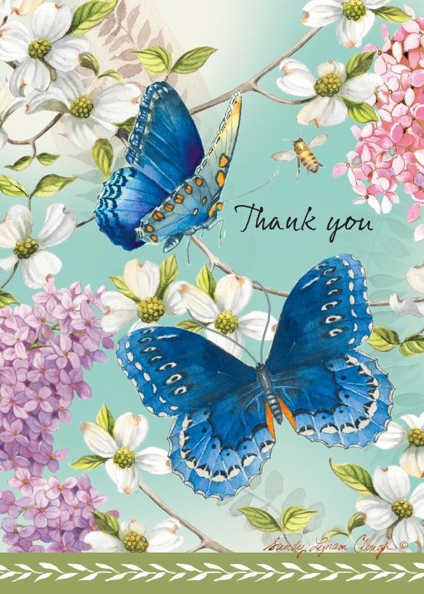 T3304 - Thank You Card With Butterflies¬†¬†