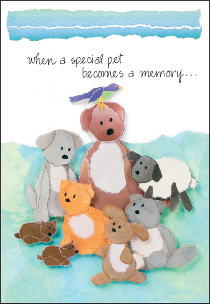 Memory Loss of Pet Card-P482