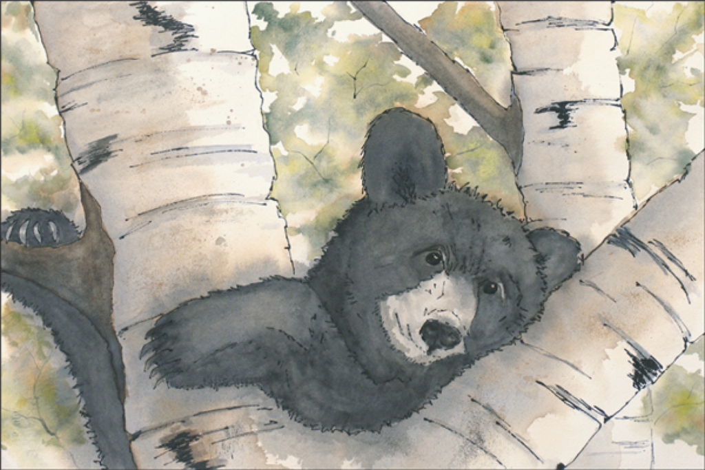 Black Bear Magnet-MAG103
