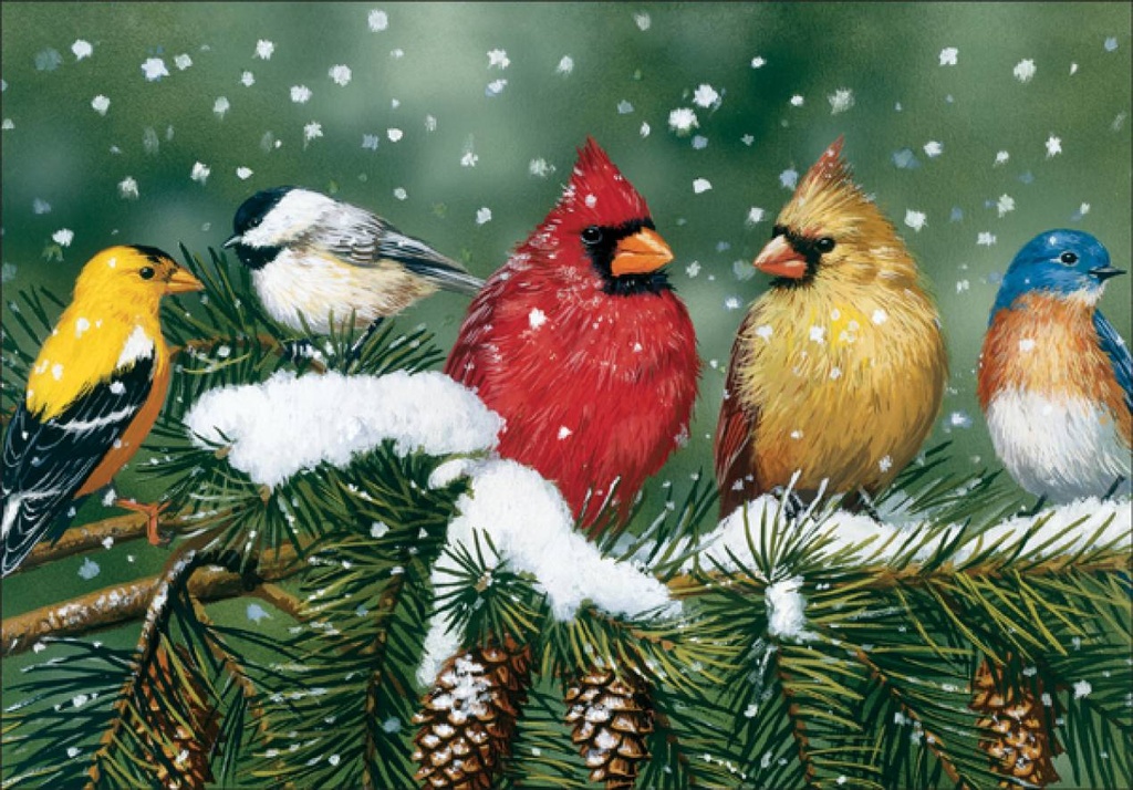 Bird Christmas Card-CU702