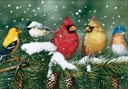 Bird Christmas Card-CU702