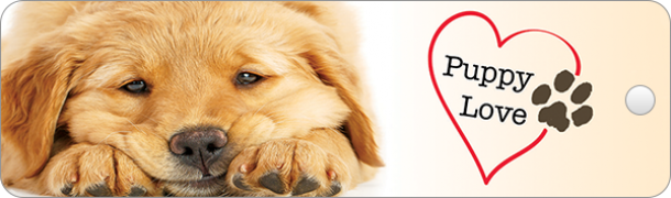 Bookmark-BK91187