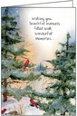 Cardinals Christmas Card, Box of Cards