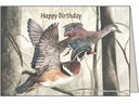 Duck Birthday Card