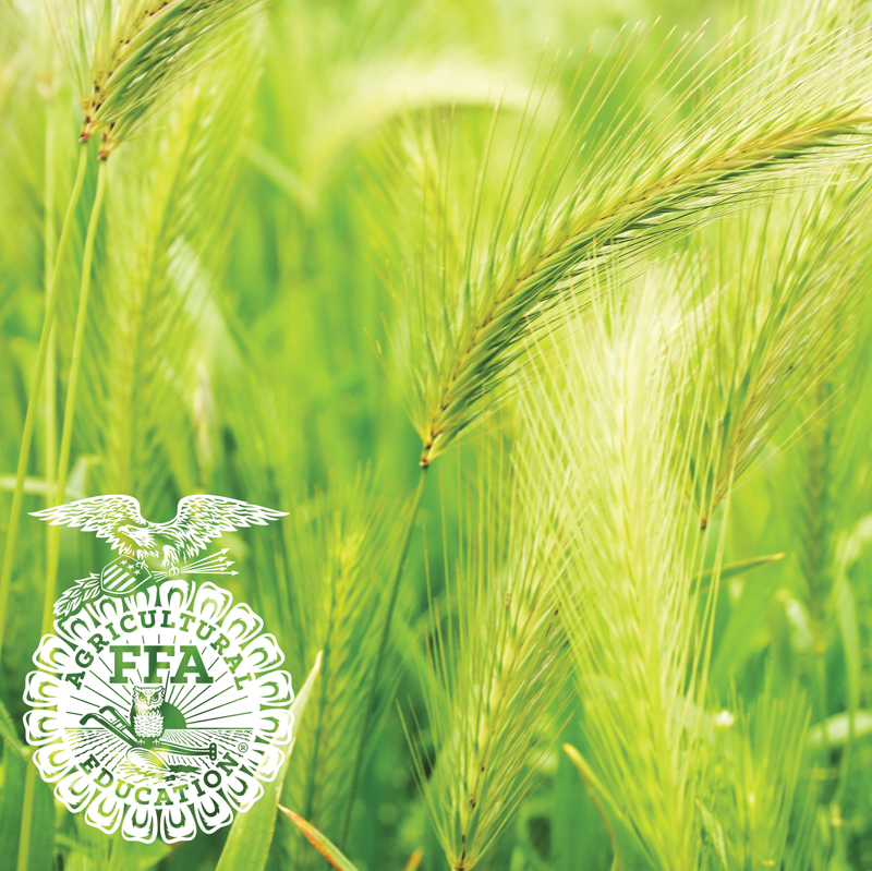 Wheat Field with Emblem-LS337