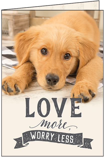 Puppy Friendship Card