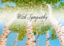 SA201 - With Sympathy, Finding Comfort in Memories¬†¬†