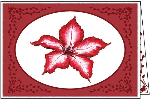 CB707C - Christmas with Scripture