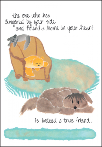 [G477] Lost a Special Pet Card-G477