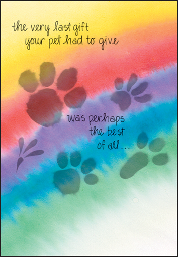 [PH441] Rainbow Loss of Pet Card-PH441