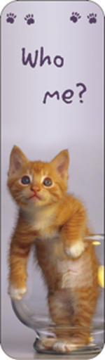 [BK211] Pet Bookmarks-BK211
