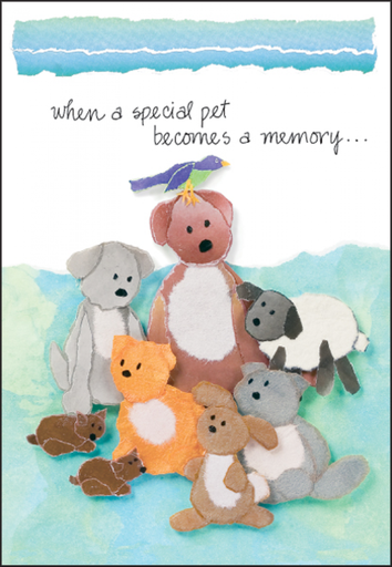 [P482] Memory Loss of Pet Card-P482