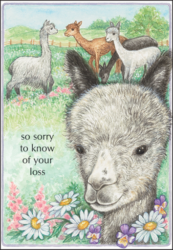 [PM410] Sorry for Your Loss of Pet Card-PM410