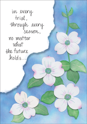 [SH246] Support Card-SH246