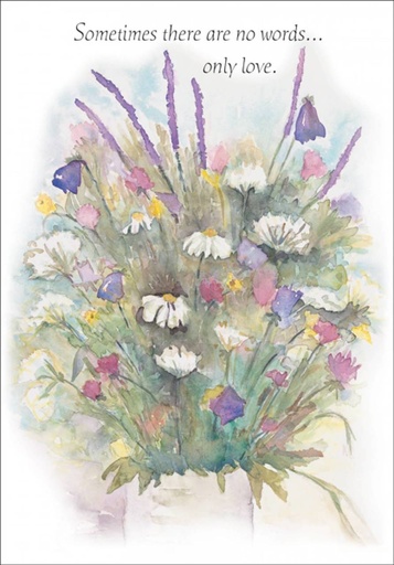 [S9222] Sometimes there are no words support card-S9222