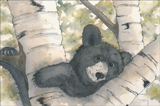 [MAG103] Black Bear Magnet-MAG103