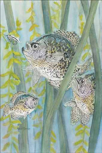 [MAG104] Magnet Pan Fish-MAG104