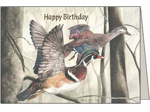 [B3102] Duck Birthday Card