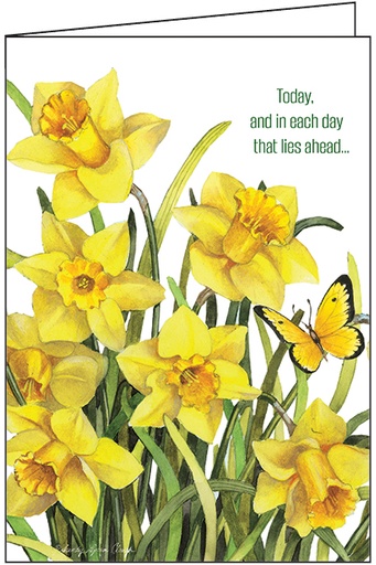 [S3204] Daffodils Encouragement Card