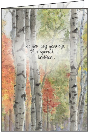 [SG222] Loss of Brother Sympathy Card