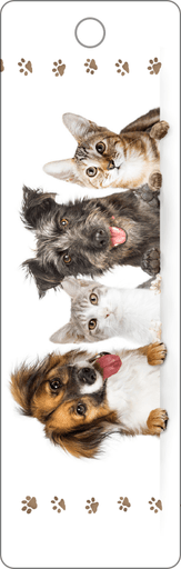 [BK160] BK160 - Bookmarks