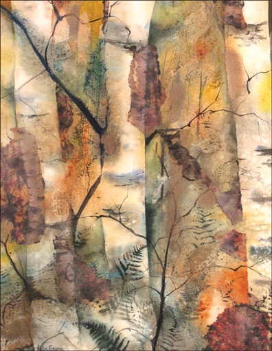 [KG06] KG06 - Colorful Birch